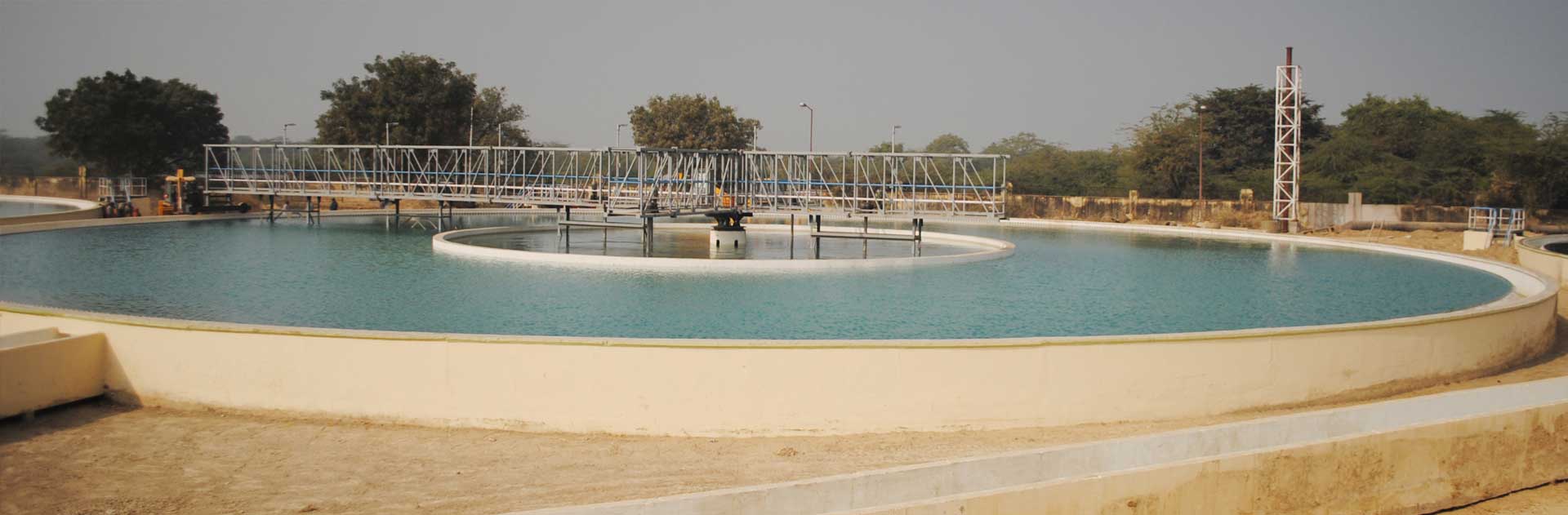 MLD Plant